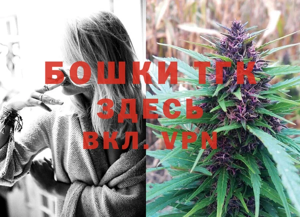 мет Инта