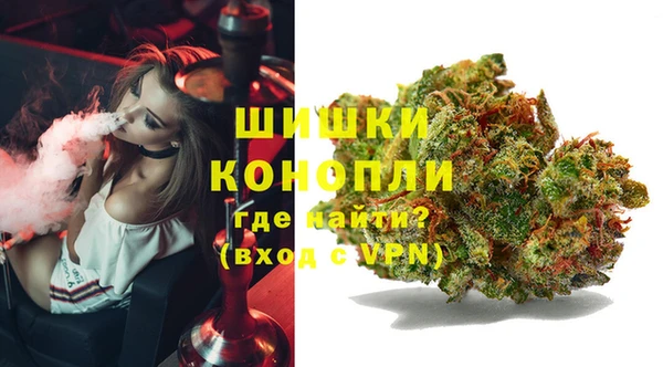 кокс Инсар