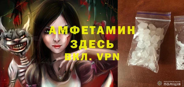 мет Инта