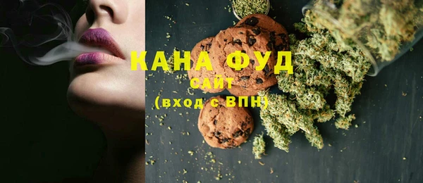 мет Инта