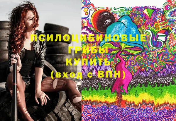 мет Инта