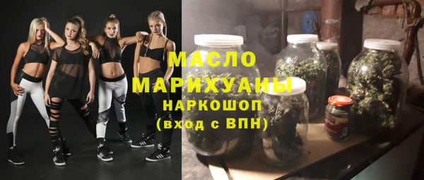 мет Инта