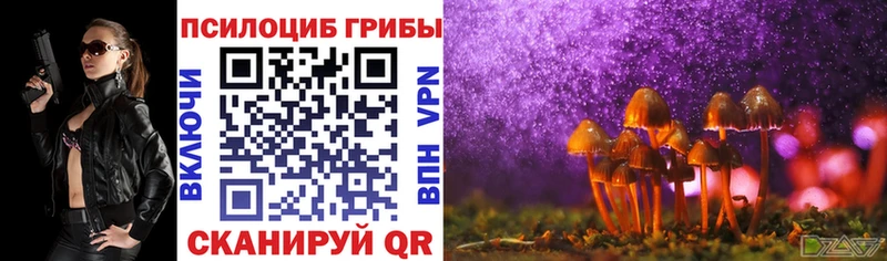 Купить где  Советская Гавань  Псилоцибиновые грибы Psilocybe 